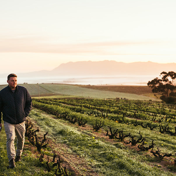 Alheit Vineyards New Vintage Release Special Offers