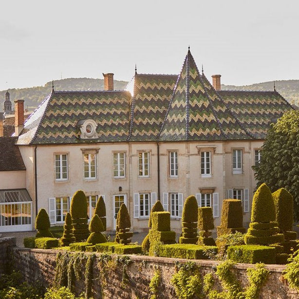 Tasting Flight - A Journey Through Meursault,  Bouchard Pere et Fils