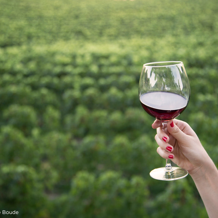 Try Bordeaux - Walk Around Tasting.