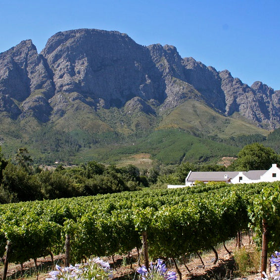 Boekenhoutskloof and Porseleinberg 2019 New Release Offer