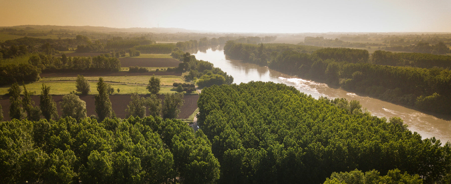 Discover Bordeaux – A Guided Wine Tasting with Nick Fisher