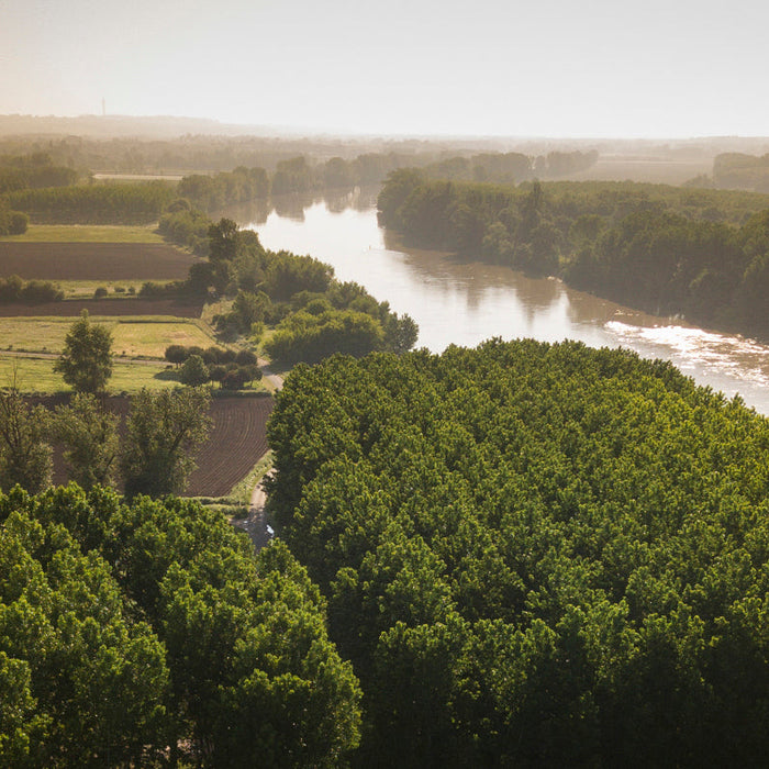 Discover Bordeaux – A Guided Wine Tasting with Nick Fisher