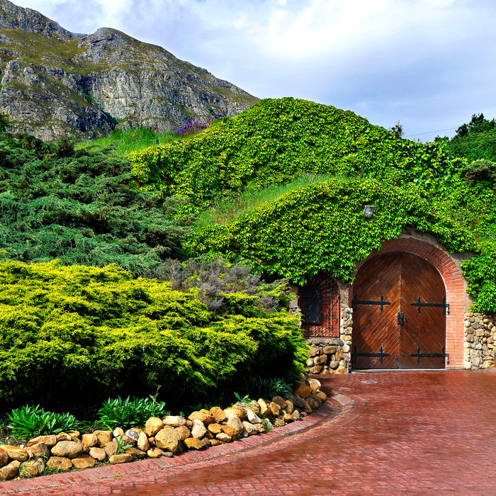 Old, Rare and Extreme - A Very Special South African Tasting Flight