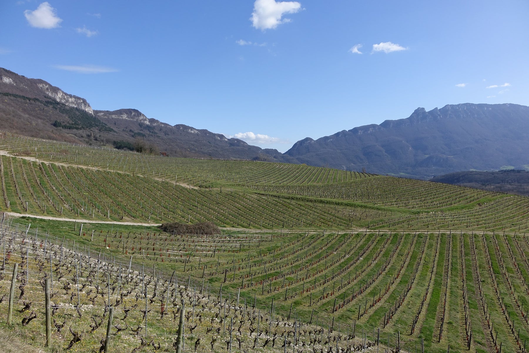 Undiscovered Wines of Savoie Tasting Flight Friday 8th April