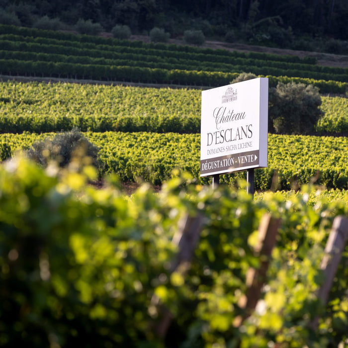 Tasting Flight - Chateau D'Esclans
