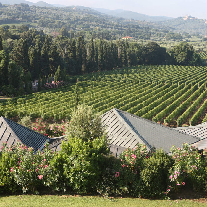 Gaja - Ca' Marcanda and IDDA Super Tuscan and Sicilian Wine Tasting