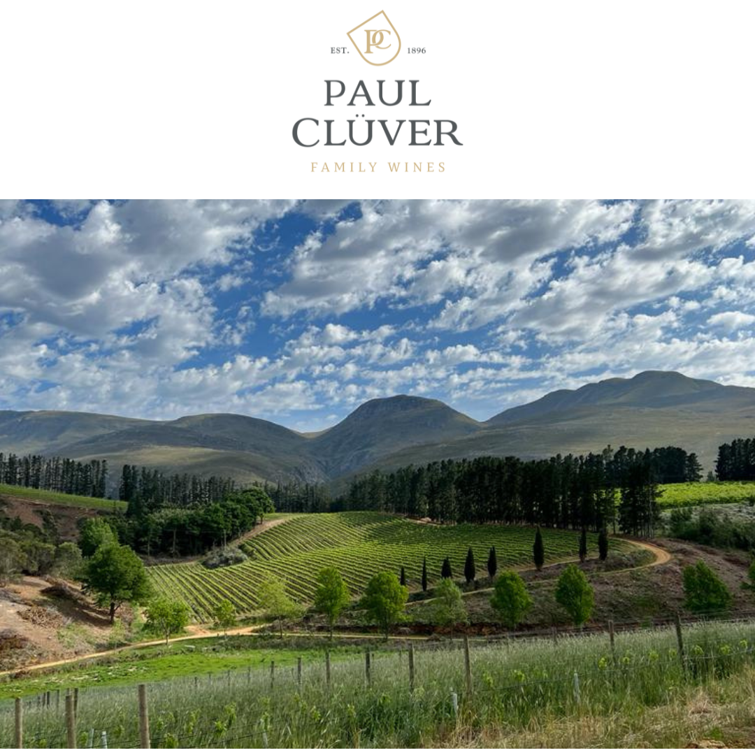 Paul Cluver South African Fine Wine 20% case discount