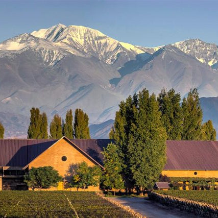 Tasting Flight - Susana Balbo Wines