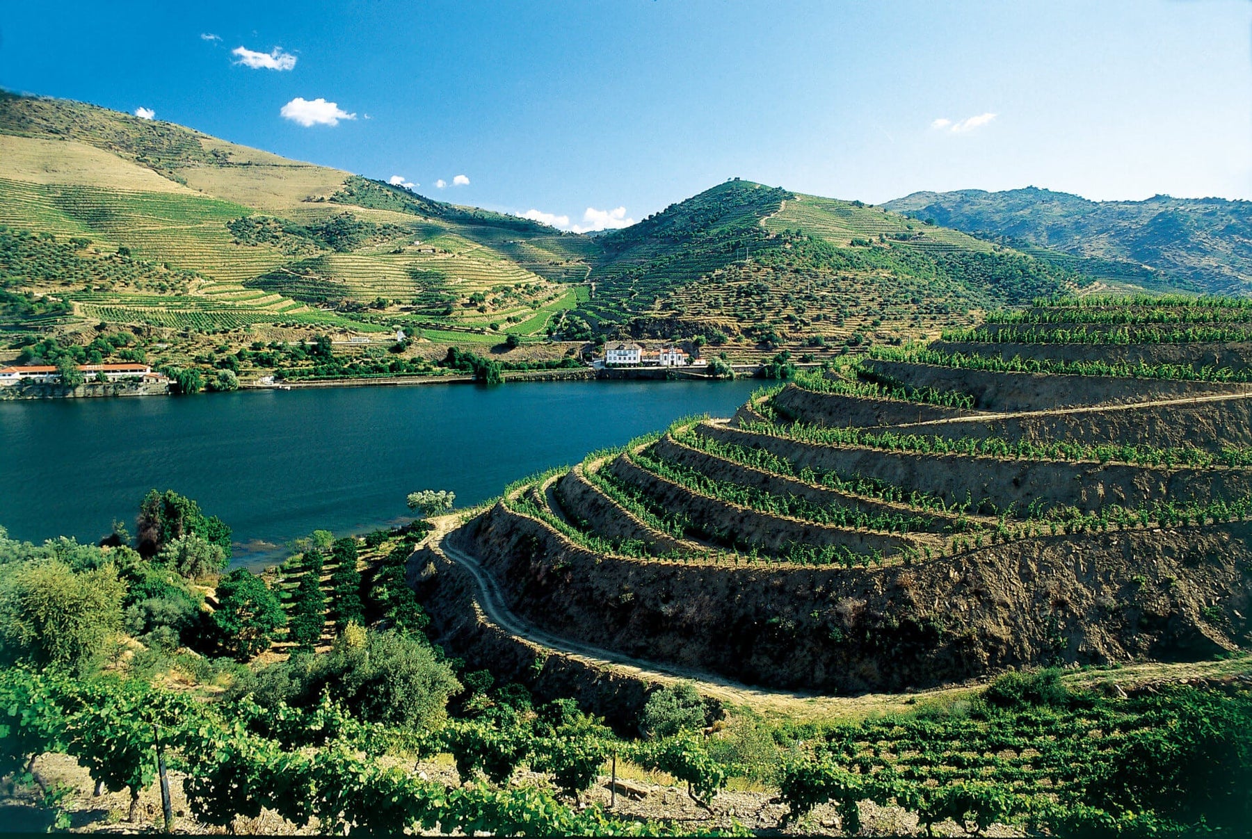 2024 - The First Universal Vintage Port Declaration Since 2017 Buy En Primeur