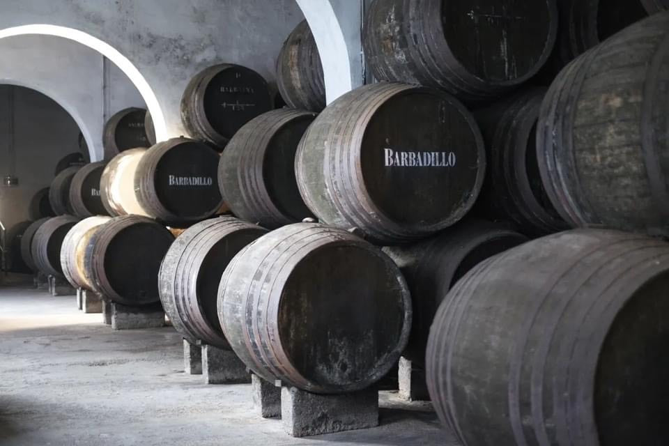 Bodegas Barbadillo - A Sherry Tasting Journey, Thursday 30th June at 7pm