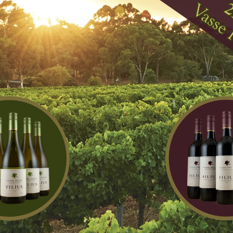 Vasse Felix 'Filius' Chardonnay or Cabernet Sauvignon 25% off any 6 bottles
