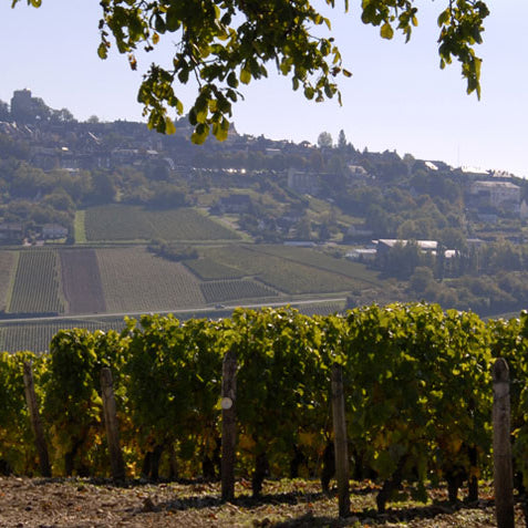 A Journey Through The Loire Wine Tasting Flight Friday 10th June