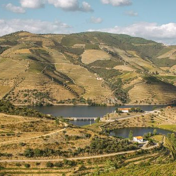 Niepoort 's Port - Tutored Tasting Thursday 11th November