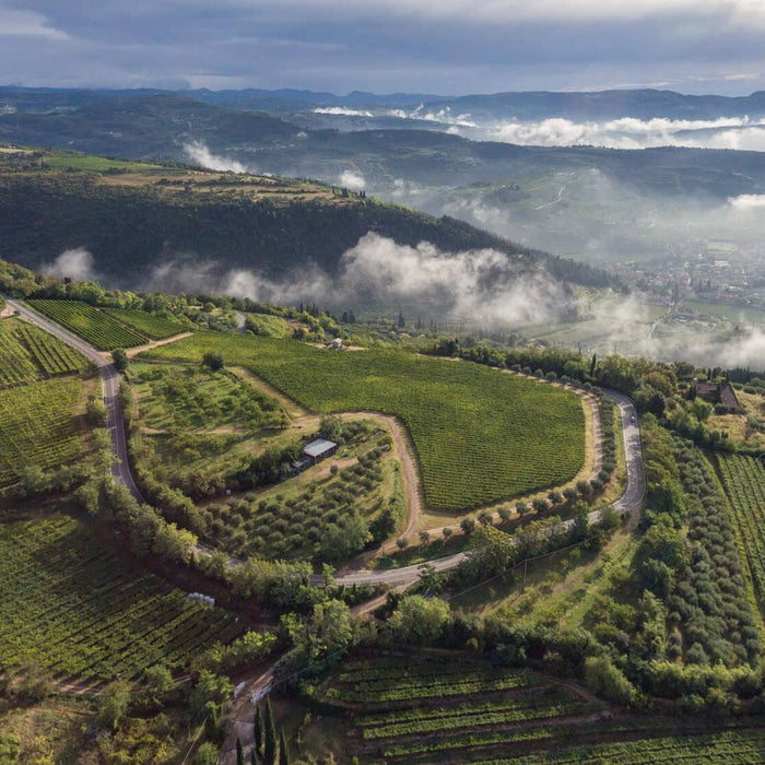 Amarone V Ripasso Tasting Flight, Friday 17th November