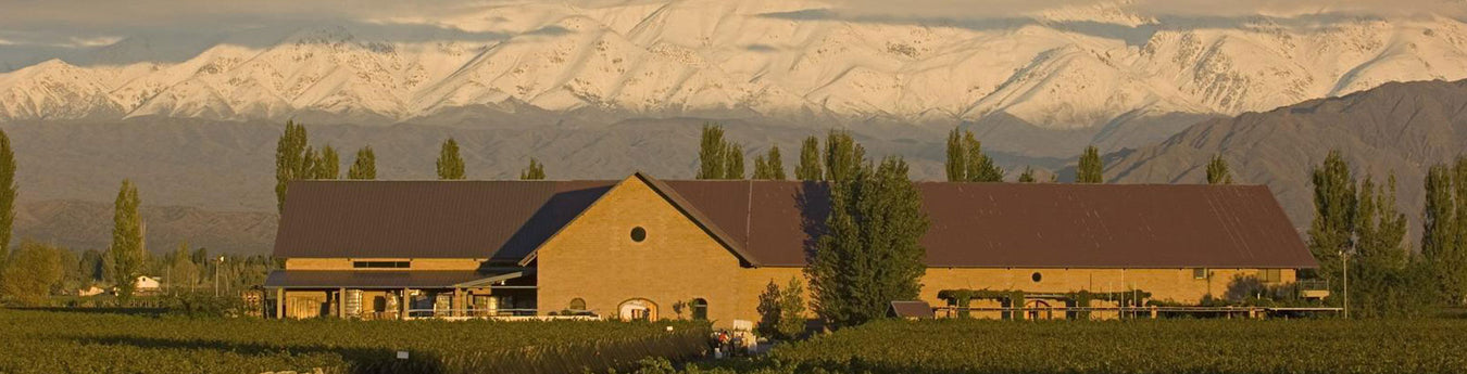 Argentinian Wine