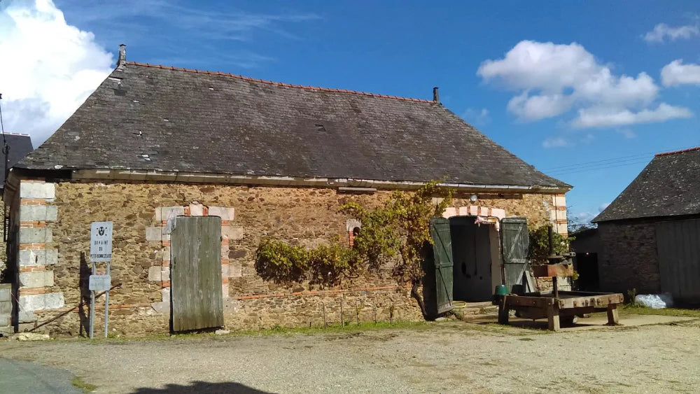 Château de Bonnezeaux