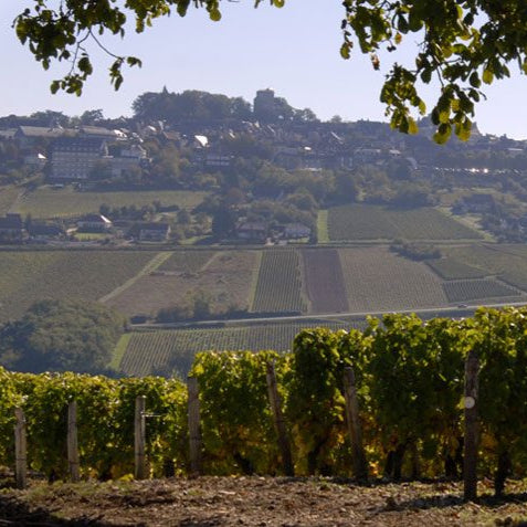 Loire Valley - The New Wave of Wine,  Tasting Flight Friday 29th August