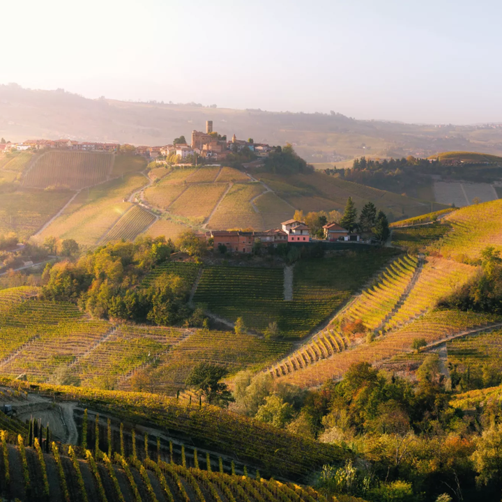 Barbaresco, Barolo & Beyond Exploring Nebbiolo with Burgundy Nick  Friday 27h February 7pm -9pm