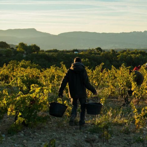 Southern Rhône - Châteauneuf & Beyond Friday 30th October 7pm - 9pm